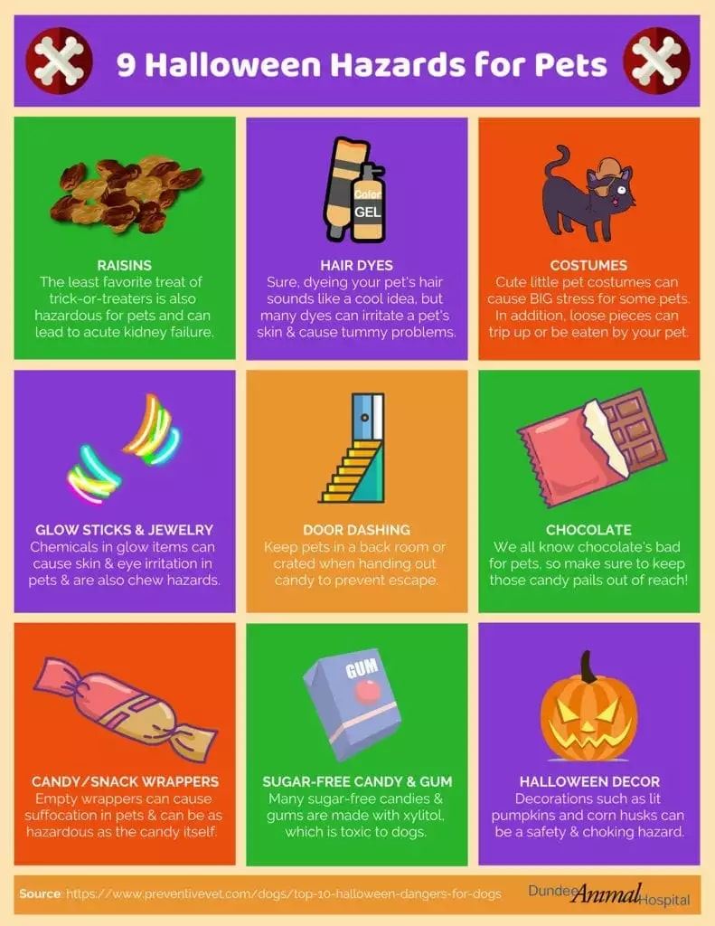 Halloween hazards infographics