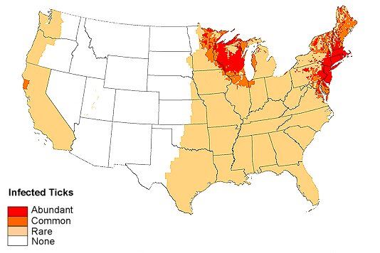 Infected Tick Area Map from The American Lyme Disease Foundation