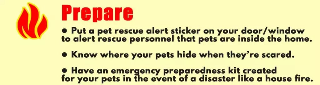 Pet Fire Safety: Prepare