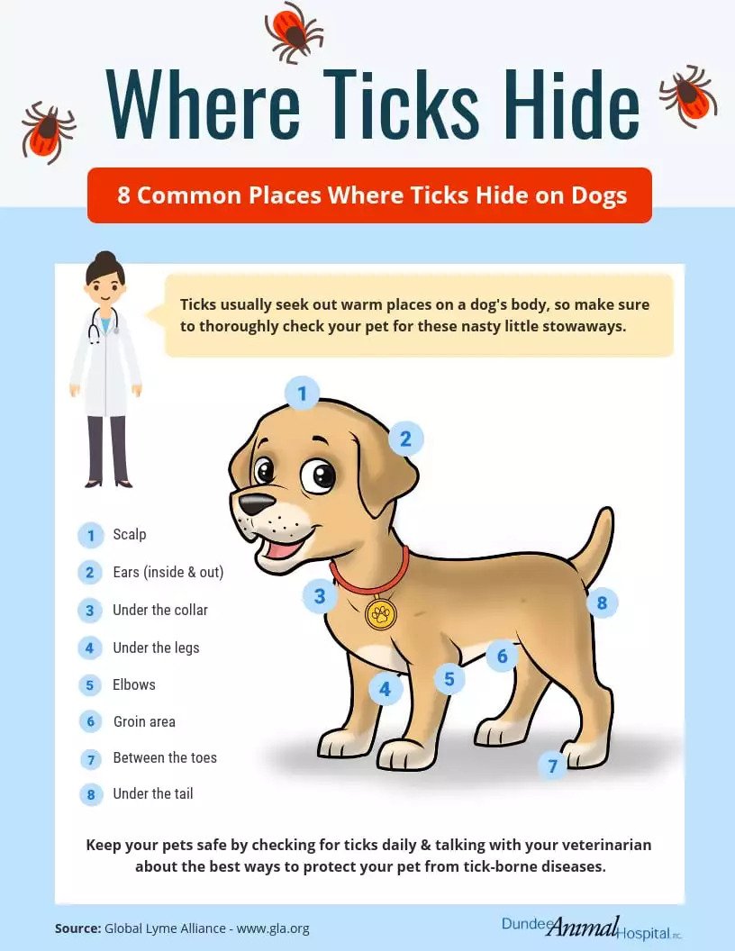 where ticks hid infographic