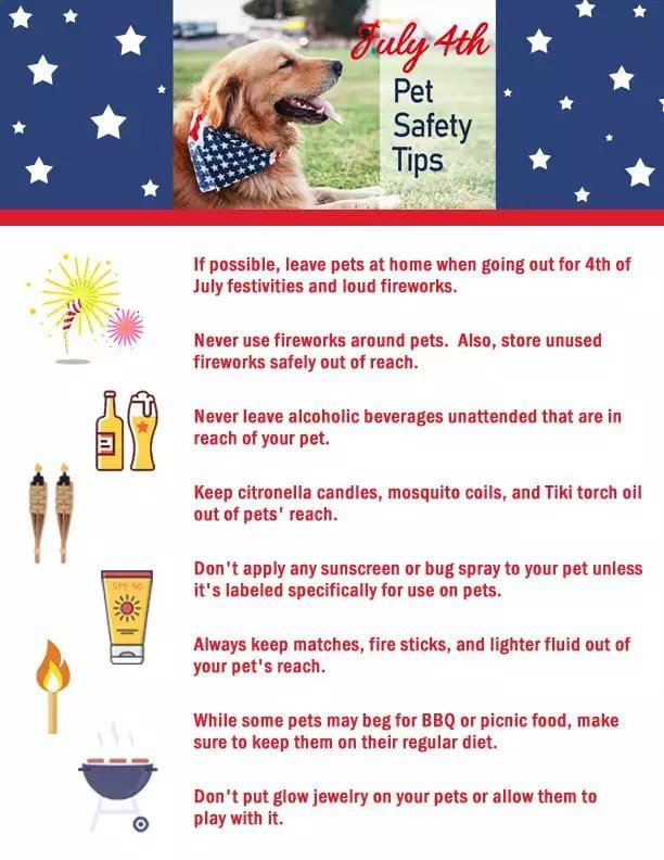 pet safety tips infographic