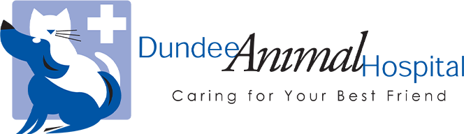 Dundee Animal Hospital
